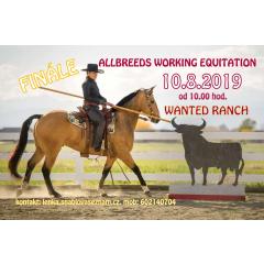 Finále Allbreeds Working Equitation