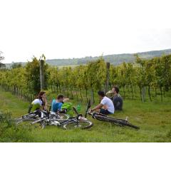 Krajem vína 2016 - Tour de burčák po vinařských stezkách Znojemska