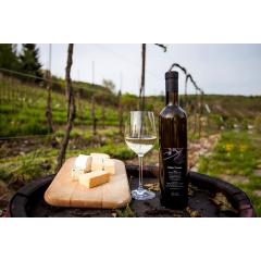 Snoubení vína a sýrů na vinici sv. Kláry 2016