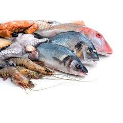Kurz vaření ryb a mořských plodů