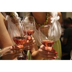Svatomartinská vína v Domě Vína Annovino 2018