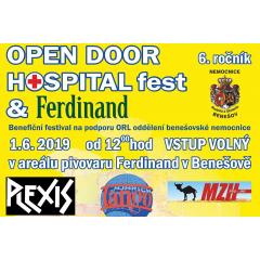 Open Door Hospital and Ferdinand fest 2019