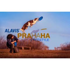 Alavis PraHaHa Freestyle 2019