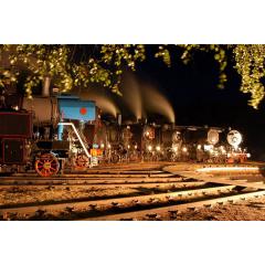 Festival parních lokomotiv - "Steam 50"