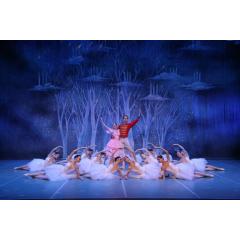 Baletní představení Louskáček - Petrohradský baletní soubor