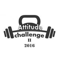 Attitude challenge II