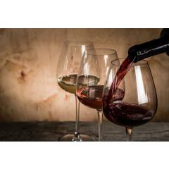 Ochutnávka vín z vinařství VICAN
