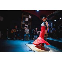 Žhavé flamenco na zlínském zámku  