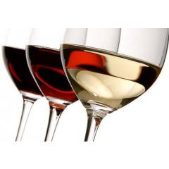 Ochutnávka vín vinařství Vrba s cimbálovkou Kobylka