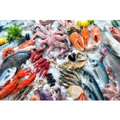 Ryby a mořské plody v Sotto ponte