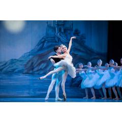 Baletní soubor INTERNATIONAL FESTIVAL BALLET uvádí baletní představení “Labutí jezero” v Hradci Králové 