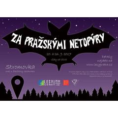 Za pražskými netopýry - podzim 2017