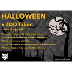 Halloween a dlabání dýní v ZOO Tábor!