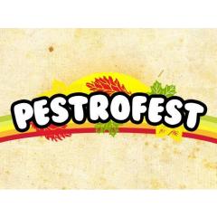 Pestrofest IV. v Budíku 2017
