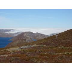 Grónskou divočinou