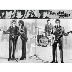 The Beatles/A HARD DAYS NIGHT/vstup volný