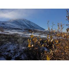 Podzimní Skandinávie aneb 3,5 tisíce km stopem