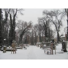 Komentovaná vycházka po Malostranském hřbitově