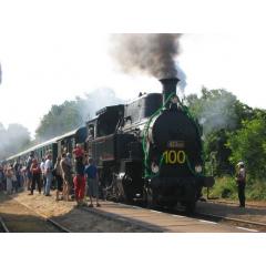 Parní vlak a 125 let trati Sedlčanky