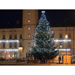 Rozsvícení vánočního stromu v Litovli 2019