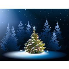 Rozsvícení vánočního stromu - Zaječov