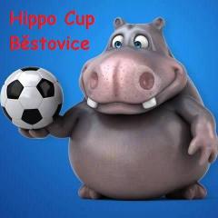 Hippo Cup 2017 turnaj malá kopaná fotbal - Běstovice