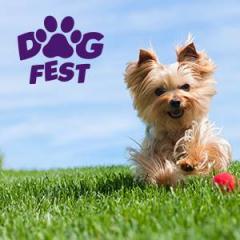 Dogfest 2018