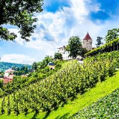 Svatováclavské vinobraní 2018