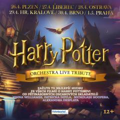 Harry Potter Orchestra Live Tribute