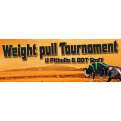 Weight pull Tournament 2017