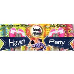 Hawaii party - MC Kristina / DJ MeeVee