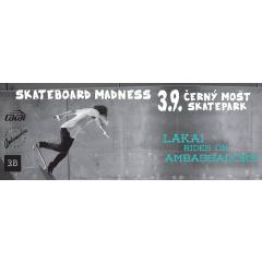 Skateboard Madness 2016