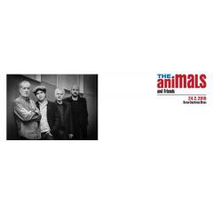 The Animals and Friends (UK) v Sono Centru