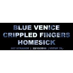 Blue Venice, Crippled Fingers a Homesick Koncert