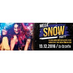 MEGA Snow party
