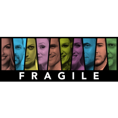Vánoční koncert vokální sk. Fragile 2017