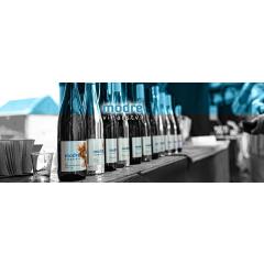 Ochutnávka kompletního ročníku vín 2019 z Modrého vinařství