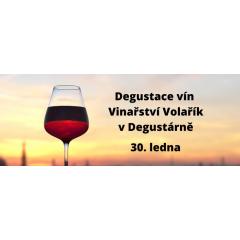 Degustace vín Vinařství Volařík